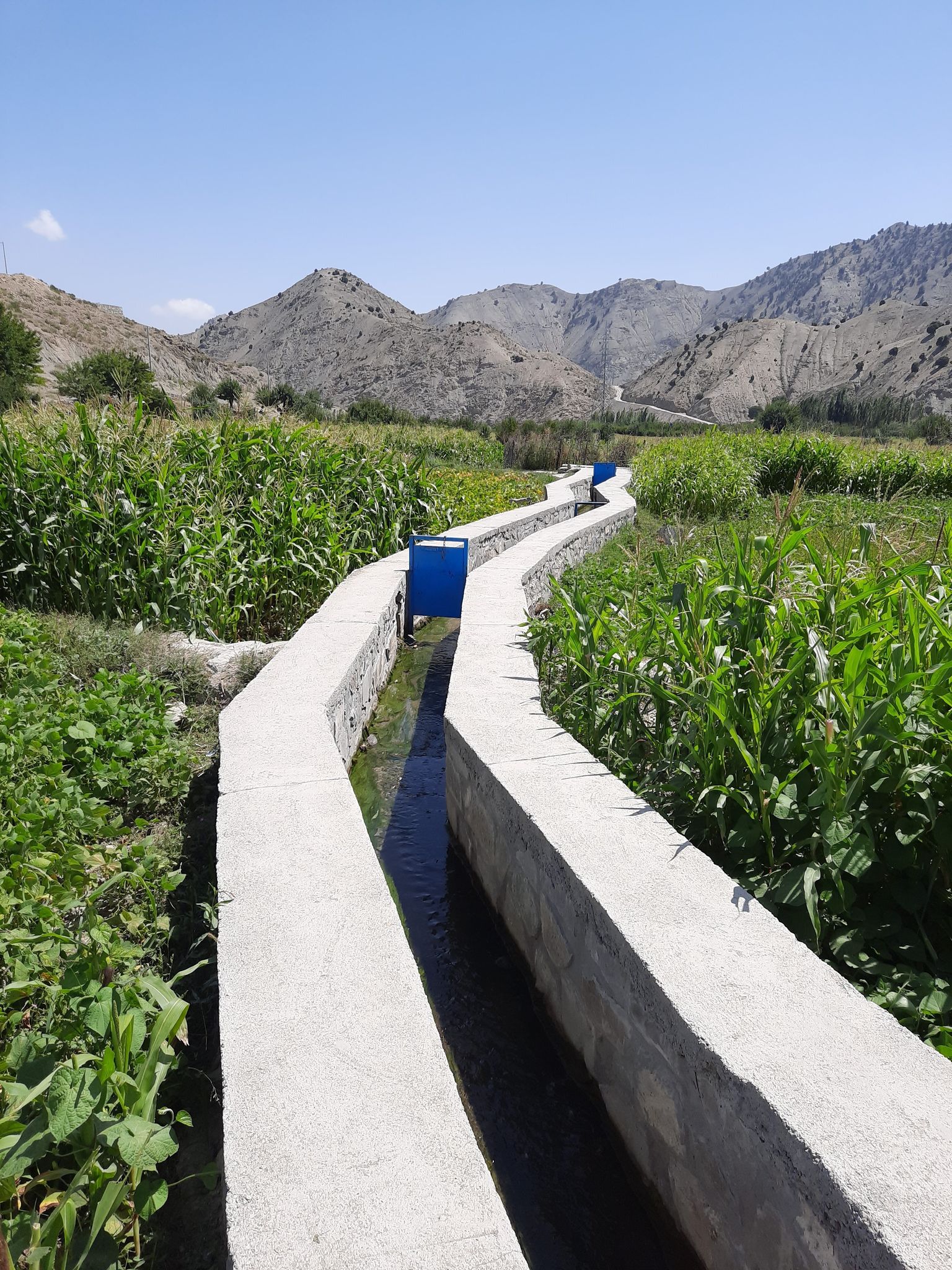Irrigation canal, Kozi Wazi village, Wazi Zadran district, Paktia province (1)